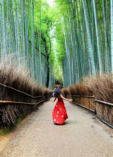 ykote|best things to do in kyoto.